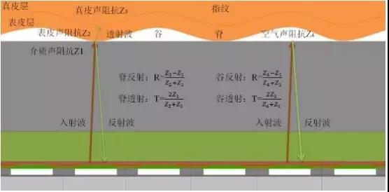 三星S10超聲波指紋供應商曝光：高通方案/GIS歐菲科技供模組