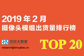 2019年2月攝像頭模組出貨量排行榜