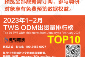 2023年1-2月TWS ODM出貨量TOP 10