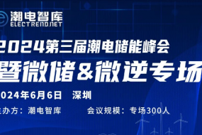 2024年全球微儲&微逆趨勢峰會(huì )第三屆潮電儲能論壇